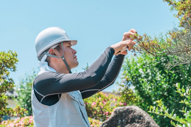 未経験者歓迎!造園業 東大阪 求人