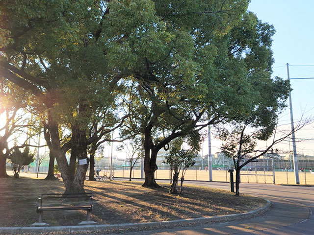 金岡公園にて清掃・除草等の公園維持管理 東大阪 求人