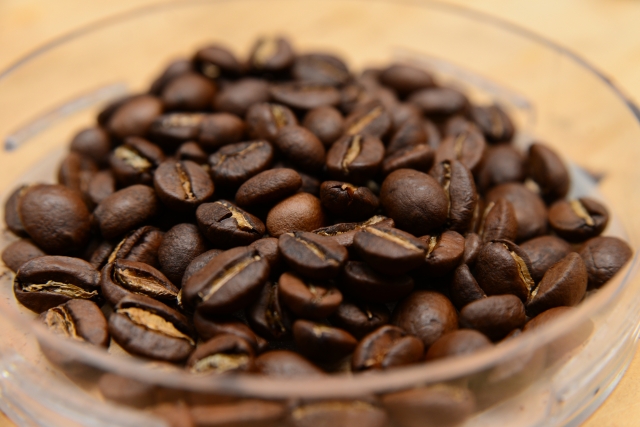 障がい者就労補助業務 東大阪 求人