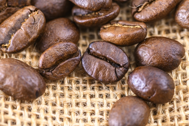 資格・経験不問！障害者就労補助業務 東大阪 求人