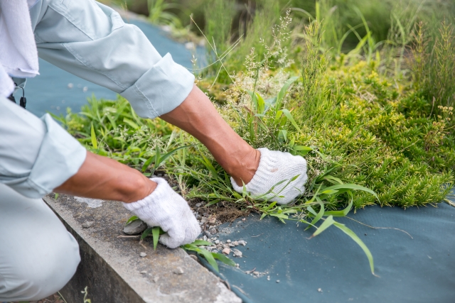 造園業(経験者)の募集 東大阪 求人