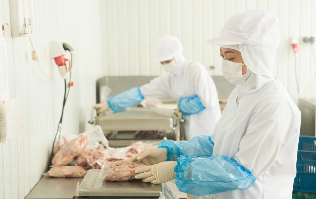 短期のお仕事です！食品工場での製造業務 東大阪 求人