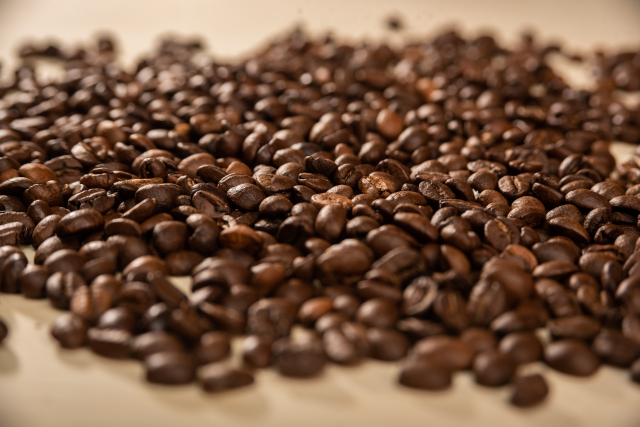 障害者就労補助業務の募集 東大阪 求人