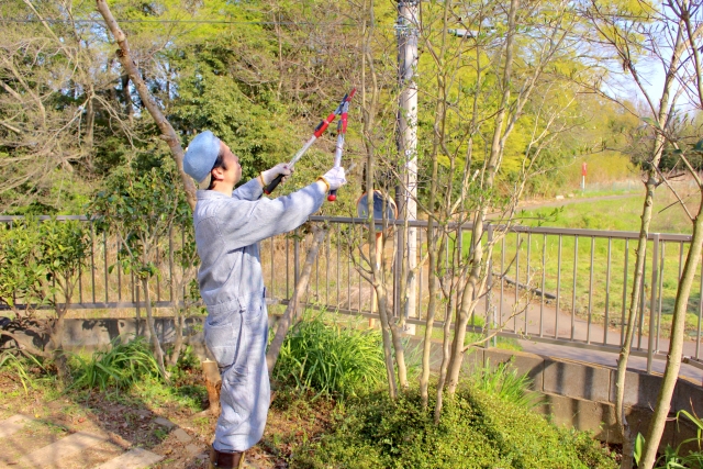 樹木剪定など公園維持管理の募集(金岡公園) 東大阪 求人