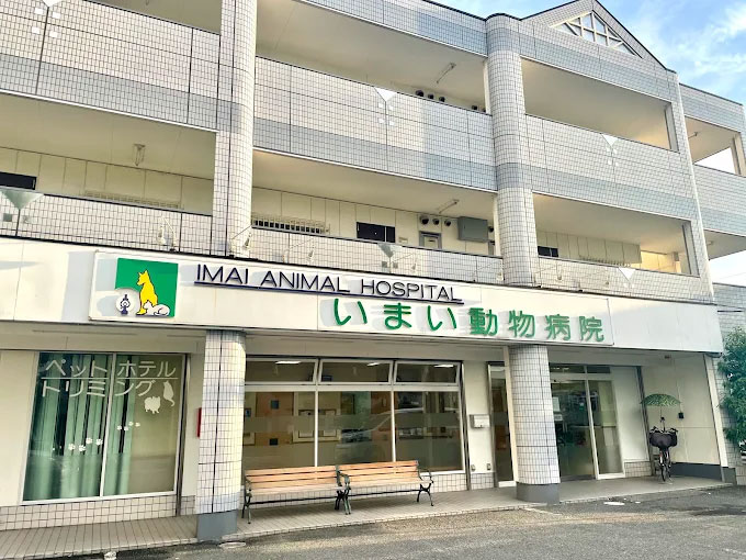 動物看護師の募集 東大阪 求人