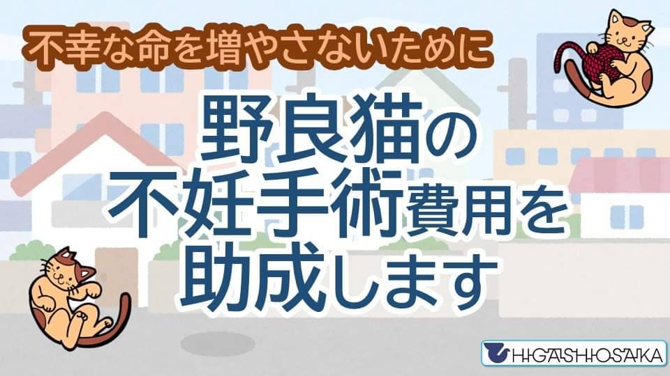 野良猫の不妊手術助成金