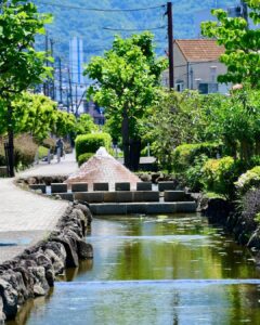 みどりの散策路 鴻池水路