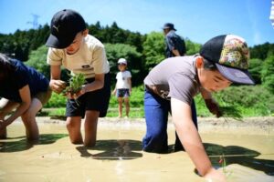 暗峠の棚田で農業体験