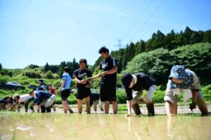 暗峠の棚田で農業体験