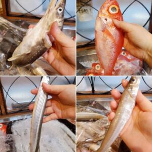 魚が🉐だわよ〜ヾ(°∀° )/ー!