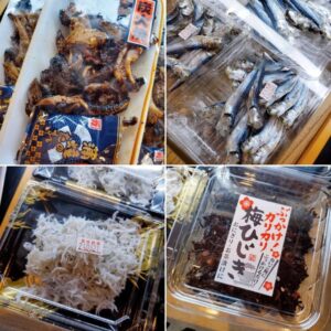 バツグンのお魚たちが入荷してま━━━ヾ(｡´囗｀)ﾉ━━━す!!!!!