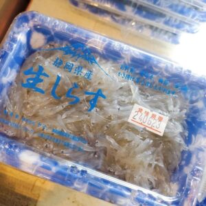 バツグンのお魚たちが入荷してま━━━ヾ(｡´囗｀)ﾉ━━━す!!!!!