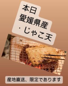 産地直送 ・愛媛県産じゃこ天 ※数量限定です‼️