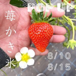 【いちごオンリー贅沢かき氷がハレに登場🍓】