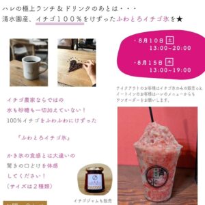 【いちごオンリー贅沢かき氷がハレに登場🍓】