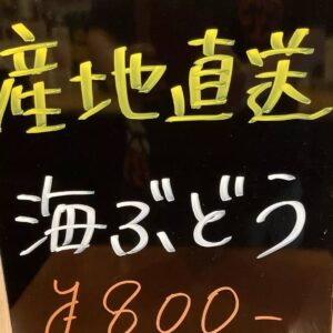 今日も元気に17:00オープン🌈