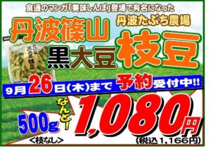 大人気の丹波篠山産黒枝豆ご予約受付中！