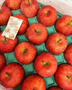 本日から販売の🍎期間限定りんご「いかりりんご」🍎