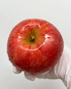 本日から販売の🍎期間限定りんご「いかりりんご」🍎