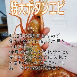 今年は北海道産【特大ボタンエビ】を超🉐で!!!