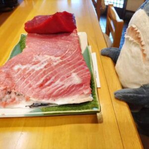 本日は、ハモ、ハマチ、沖縄産海ぶどう、マグロのトロがおすすめです。