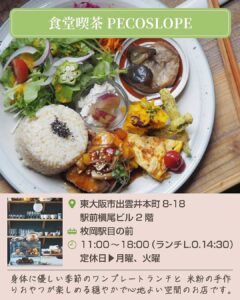 【カラダに優しい🍴東大阪の自然派ランチ特集✨】