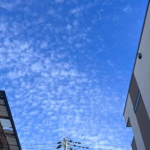 空には鱗雲がいっぱいで秋ばれです