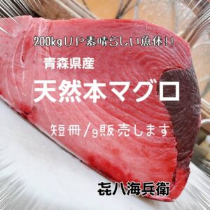 青森県産【天然本マグロ】なんと２００kgＵＰの素晴らしい魚体からのブロック✨