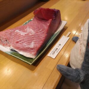 本日はマグロのトロ、ハマチ、サーモンがおすすめです。