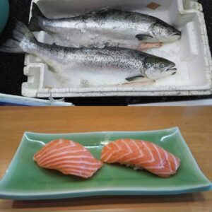 本日はマグロのトロ、ハマチ、サーモンがおすすめです。