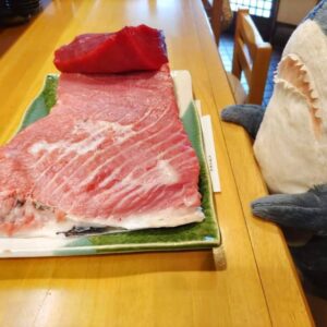 本日はマグロのトロ、ハマチ、サーモンがおすすめです。