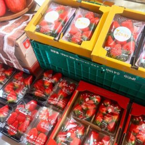 今日の目玉✨️