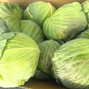 今日の目玉✨️