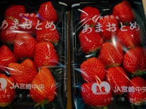 美味しいイチゴ入りました！2月のおすすめカクテル味わってくださいΨ( ‘ч’ ☆)