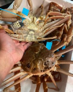 本日も17時より営業させて頂きます♪