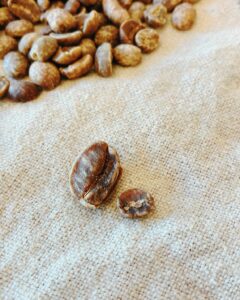 先日からドンドン入荷している生豆さんたち🫘