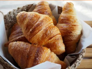 東大阪にペットパークあるのご存じですか？