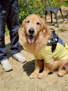 東大阪にこんな場所が！？ドッグランが8つもある【稲荷山ペットパーク】へ行こう！