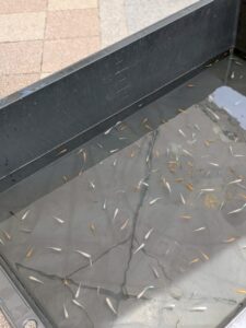 5月11日　エイシバマルシェ in 永和駅前広場