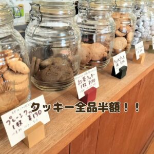 今日からの冷やしドーナツは【メープルクリーム】です