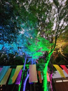 灯りとグルメで夏の締めくくり！「夏灯しの夢まつり2025」