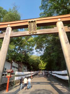 灯りとグルメで夏の締めくくり！「夏灯しの夢まつり2025」