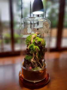 灯りとグルメで夏の締めくくり！「夏灯しの夢まつり2025」