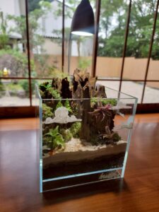 灯りとグルメで夏の締めくくり！「夏灯しの夢まつり2025」