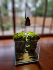 灯りとグルメで夏の締めくくり！「夏灯しの夢まつり2025」