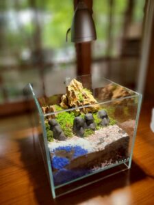 灯りとグルメで夏の締めくくり！「夏灯しの夢まつり2025」