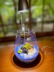 灯りとグルメで夏の締めくくり！「夏灯しの夢まつり2025」