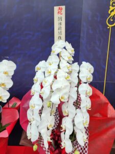 東大阪にポップサーカスがやって来た  ～東大阪公演初日潜入レポート～