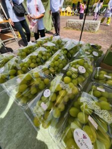 9月27日・28日 わくわく「おしごとまつり」in花園中央公園