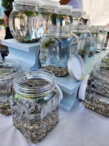 9月27日・28日 わくわく「おしごとまつり」in花園中央公園